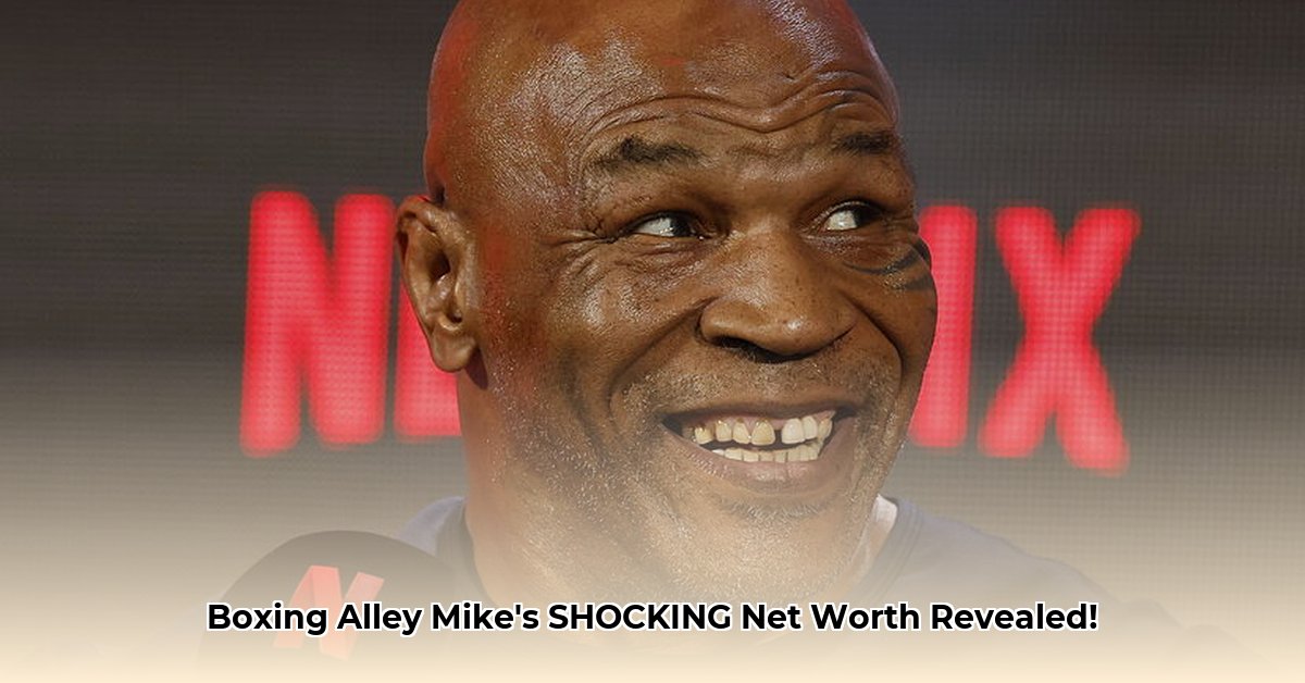 boxing-alley-mike-net-worth